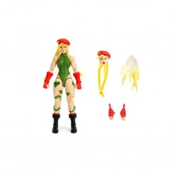 253252033 6 Figure