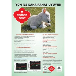 Box Bebek Yün Yastık 35x45