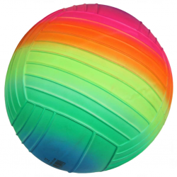 Double W Sports Gökkuşağı Tırtıklı PVC Top 23cm