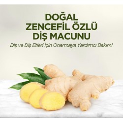 Doğal Diş Macunu 90 Gr Zencefil Özlü