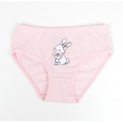 3lü Kız Slip Set K128668 (tek adet fiyatıdır)