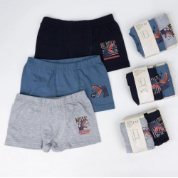 2li Erkek Boxer K128638 (tek adet fiyatıdır)
