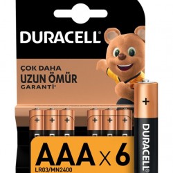 NessiWorld 6Lı AA Kalem Pil