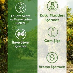 Energy Smoothie 250ml (Meyve-Sebze Suyu/Püresi)